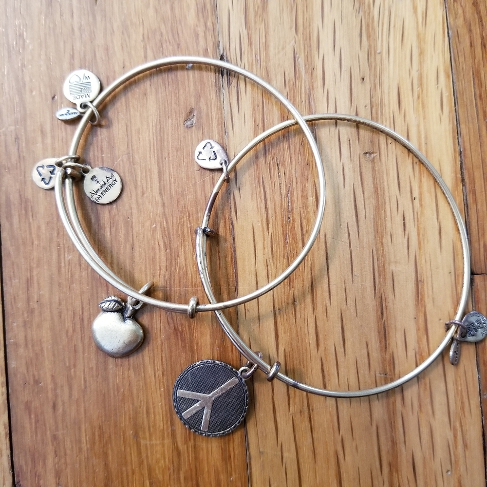 Alex and Ani, Gold 2 Pack